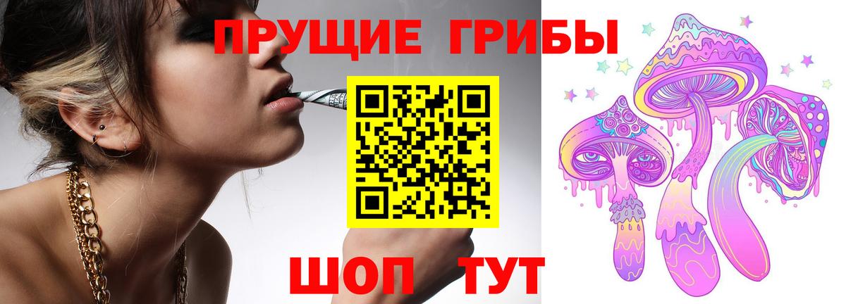 Сафоново  Галлюциногенные грибы GOLDEN TEACHER  Псилоцибиновые грибы мицелий  Вход с VPN 